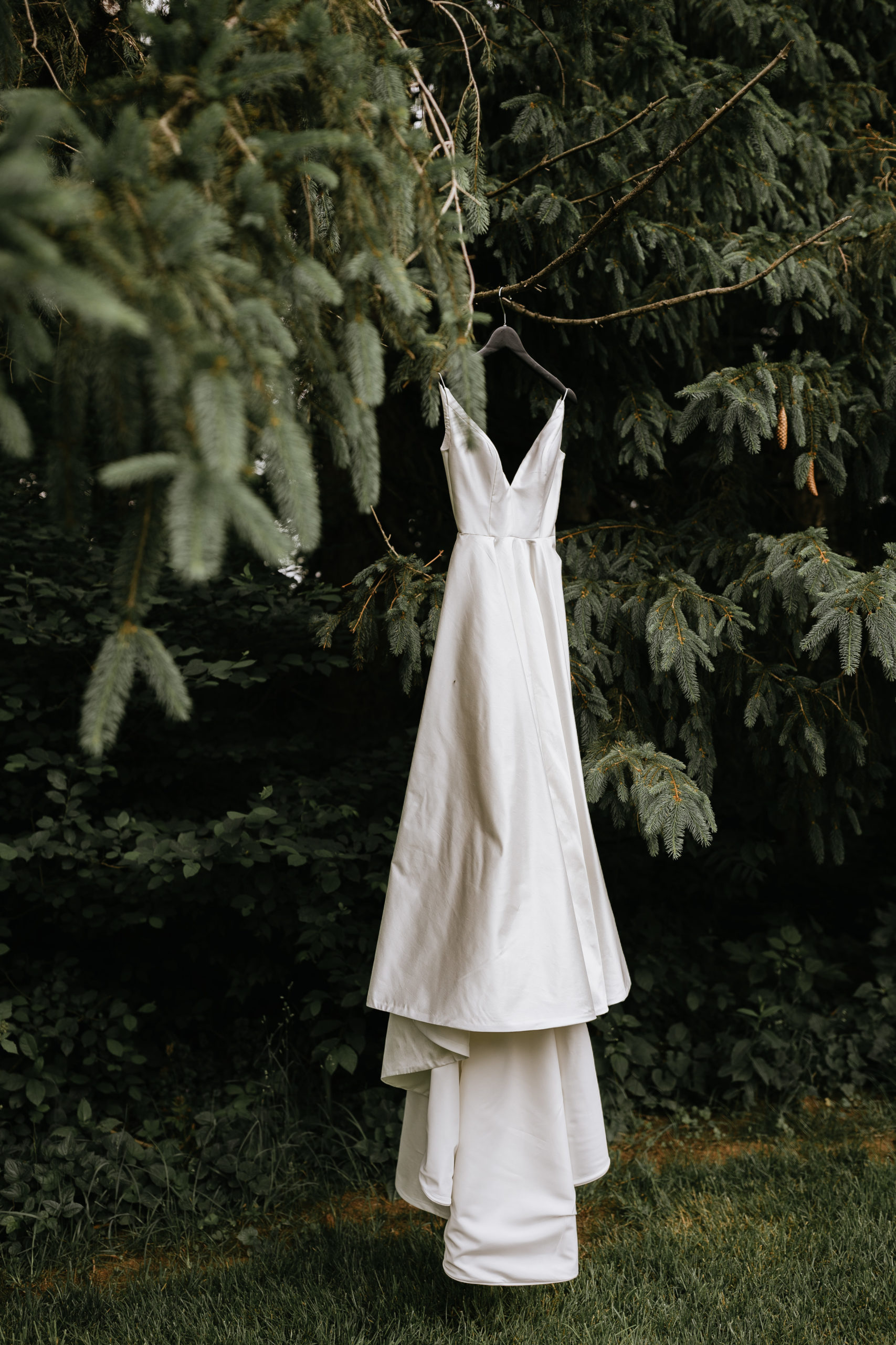 wedding dress hanging on a pine tree
