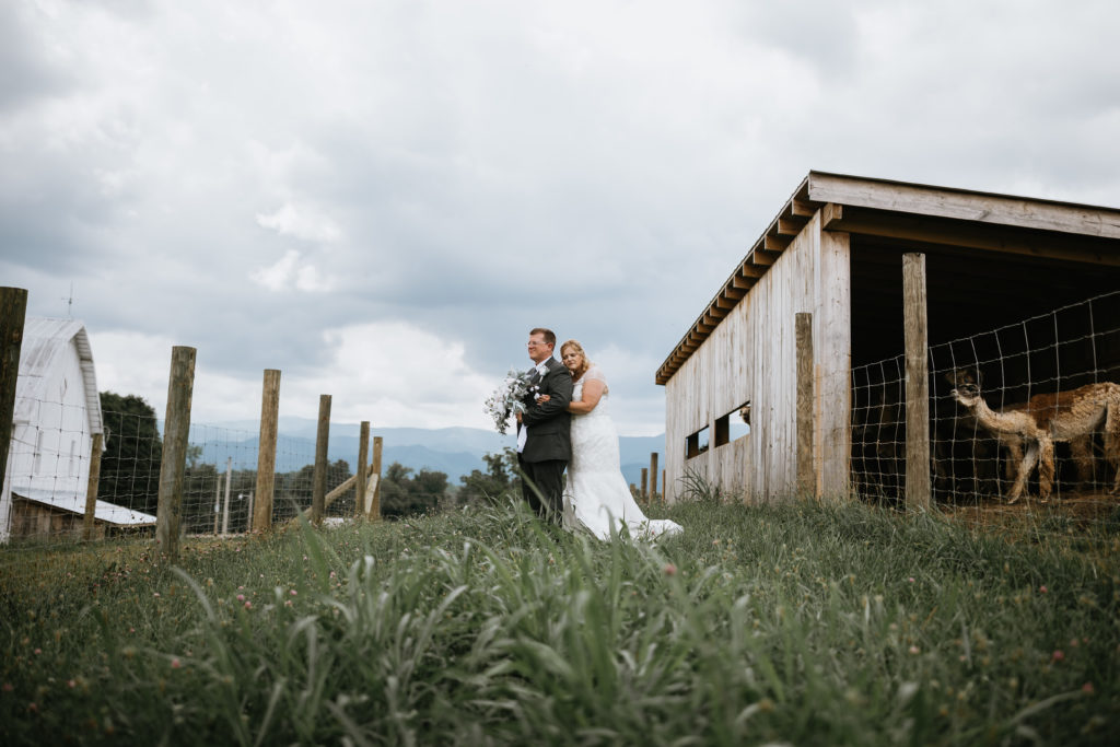 wide shot of bride and groom at alpaca mountain event styled shoot