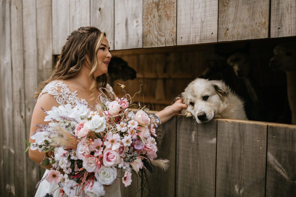 bride petting dog at alpaca mountain